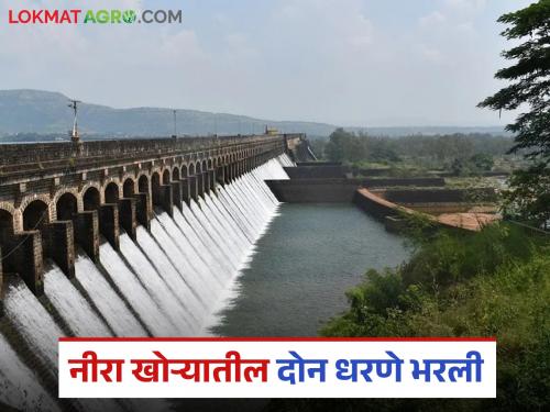 These two big dams in the Nira valley filled; Farmers' irrigation worries resolved | नीरा खोऱ्यातील 'ही' दोन मोठी धरणे भरली; शेतकऱ्यांची सिंचनाची चिंता मिटली