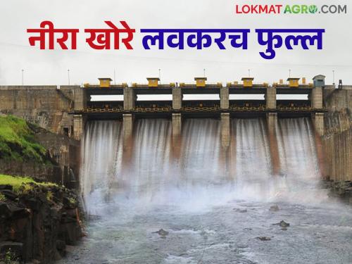 Heavy rain in dams in Nira Valley; 'These' dams in Nira Valley will soon be full | नीरा खोऱ्यातील धरणांमध्ये जोरदार पाऊस; नीरा खोऱ्यातील 'ही' धरणे लवकरच फुल्ल