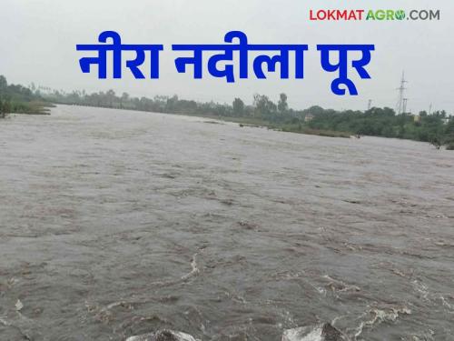 Veer Dam : Heavy rains increased in Neera Valley, 63 thousand cusecs of water was released from Veer Dam | Veer Dam : नीरा खोऱ्यात पावसाचा जोर वाढला वीर धरणातून ६३ हजार क्यूसेक पाण्याचा विसर्ग