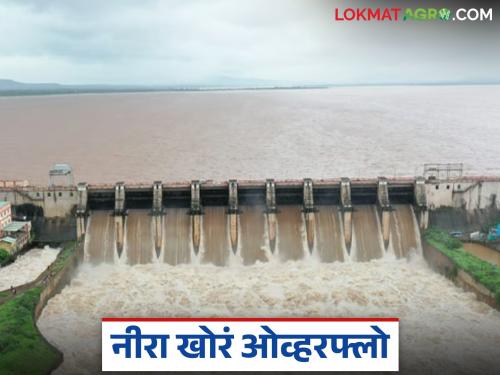 Good news for farmers in Nira Valley; 'These' three main dams overflowed | निरा खोऱ्यातील शेतकऱ्यांना आनंदाची बातमी; मुख्य असणारी 'ही' तीन धरणे झाली ओव्हरफ्लो
