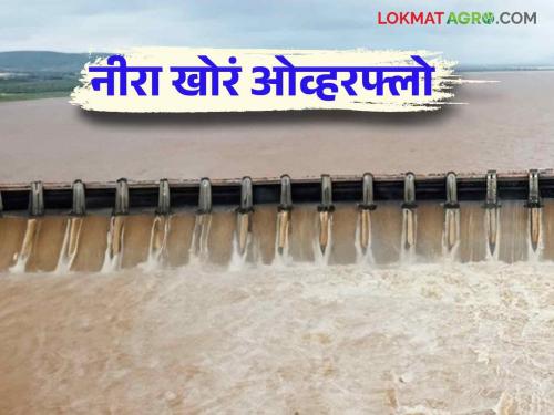 Nira Valley Dams Water Level : Discharge of 60 TMC from four dams in Nira Valley | Nira Valley Dams Water Level : नीरा खोऱ्यातील चार धरणांतून ६० टीएमसीचा विसर्ग