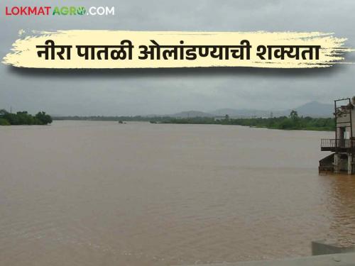 There is a possibility of Nira river level crossing due to heavy release water from Nira Deoghar, Bhatghar dams | नीरादेवघर, भाटघर धरणांतून मोठा विसर्ग सुरू नीरा नदी पातळी ओलांडण्याची शक्यता