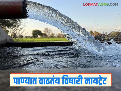 Toxic nitrate levels in the state's groundwater have increased; Nitrate-contaminated water samples were found in these seven districts | राज्याच्या भूजलात विषारी नायट्रेटचे प्रमाण वाढले; या सात जिल्ह्यात सापडले नायट्रेट बाधित पाणी नमुने