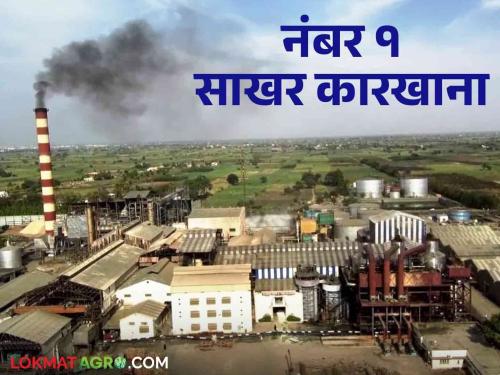 Best Sugar Factory : This factory became the best sugar factory in the state due to its high quality and sugarcane rate | Best Sugar Factory : उच्चांकी गाळप व दरामुळे हा कारखाना ठरला राज्यातील बेस्ट शुगर फॅक्टरी