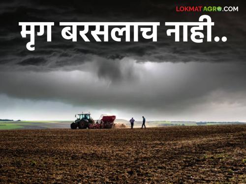 In this district of the state deer do not rain; Sowing in Kharif season is only 20 percent | राज्याच्या या जिल्ह्यात मृग बरसलाच नाही; खरीप हंगामातील पेरणी २० टक्केच