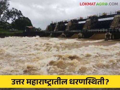 Latest News Eighteen major dams in North Maharashtra below 30 percent water storage know in detail  | Maharashtra Dam Storage : उत्तर महाराष्ट्रातील 18 मोठी धरणे 30 टक्क्यांच्या खालीच, जाणून घ्या सविस्तर 