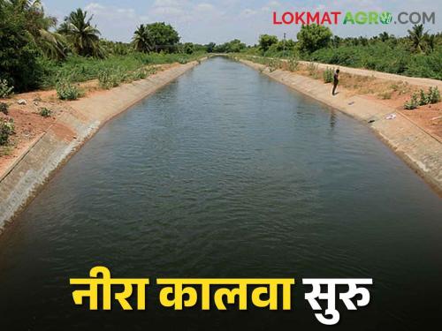 Nira Canal; starts water discharge from Veer Dam through Nira Right Canal | Nira Canal नीरा उजव्या कालव्याद्वारे वीर धरणातून आवर्तन सुरू