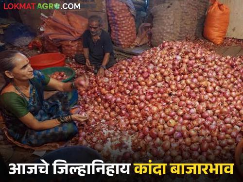 Latest News Kanda Market unhal kanda prices have dropped in Nashik district see kanda bajarbhav | Kanda Market : नाशिक जिल्ह्यात उन्हाळ कांद्याचे दर घसरले, आज काय दर मिळाला?