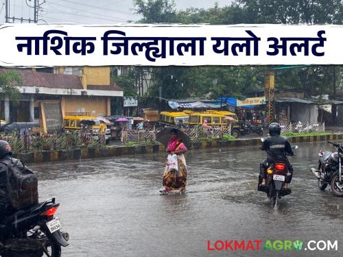 Latest News Nashik Rain Update Yellow alert for Nashik district till September 2 see details | Nashik Rain Update : नाशिक जिल्ह्याला 2 सप्टेंबरपर्यंत यलो अलर्ट, कसा आणि कुठे असेल पाऊस? 