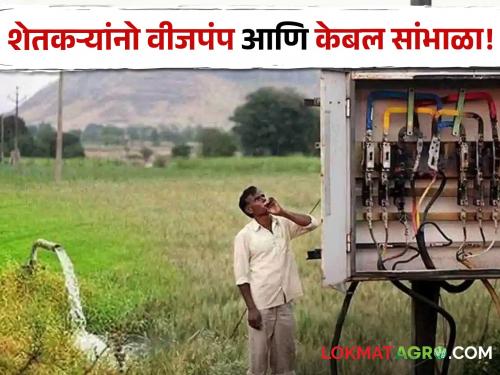 Latest News Stealth of thieves, farmers take care of power pump and cable | खरीप हंगाम तोंडावर, चोरांचा सुळसुळाट, शेतकऱ्यांनो वीजपंप आणि केबल सांभाळा!  