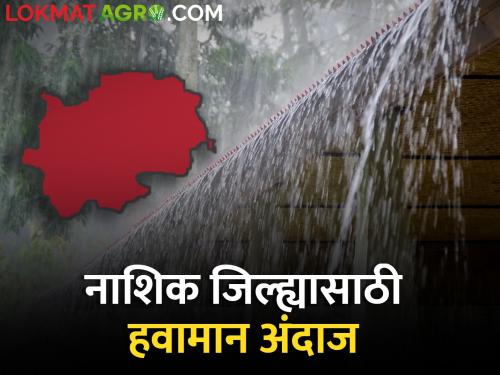 Latest News Chance of unseasonal rain in Nashik district for the next three days | Nashik Weather : नाशिक जिल्ह्यात पुढील तीन दिवस अवकाळी पावसाची शक्यता, वाचा हवामान अंदाज 