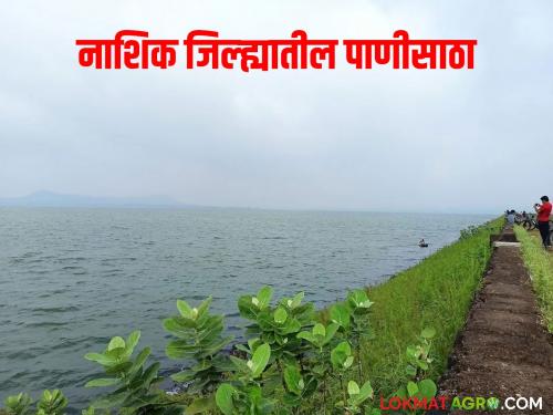 Latest news Nashik dam Storage twelve dams of Nashik are 100 percent full, Gangapur dam is at 98 percent, read in detail | नाशिकची 'ही' बारा धरणे 100 टक्के भरली, गंगापूर धरणंही 98 टक्क्यांवर, वाचा सविस्तर 