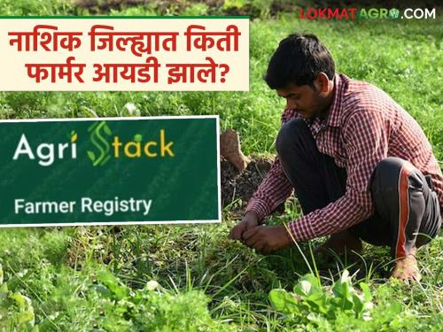 Latest News 64 thousand 648 farmers registered for Farmer ID in Nashik district | फार्मर आयडी बंधनकारक, तरीही नाशिक जिल्ह्यात 'इतके' शेतकरी फार्मर आयडी विना!