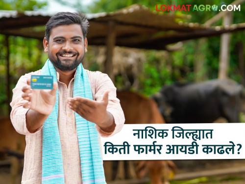 latest News farmer id 5 lakh farmers in Nashik have issued Farmer IDs, last three days left | नाशिकमधील 5 लाख शेतकऱ्यांनी फार्मर आयडी काढले, शेवटचे तीन दिवस शिल्लक