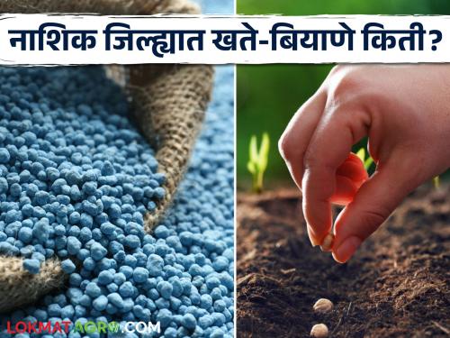 Latest News How much fertilizers and seeds are available in Nashik district? see details | Kharip Season : नाशिक जिल्हयात खते व बियाणे किती उपलब्ध? इथं वाचा सविस्तर 