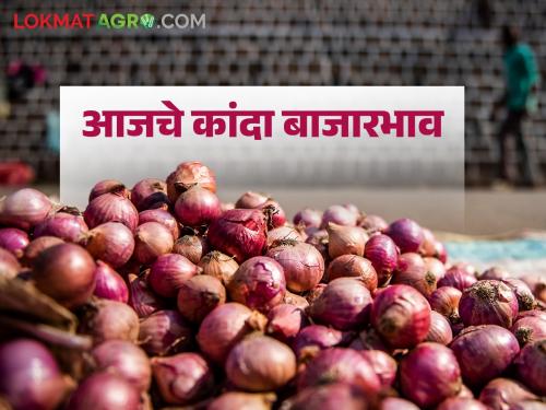 Latest News Kanda Bajarbhav onion market prices down in Nashik, see todays market price | Kanda Bajarbhav : नाशिकमध्ये कांदा बाजारभावात काहीशी घसरण, वाचा आजचे बाजारभाव