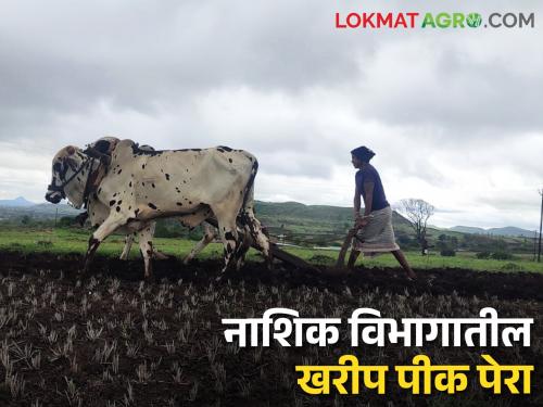 Latest News Kharif season Rice cultivation on 94 hectares in Nashik district this 2024 year | Kharif Season : यंदा नाशिक जिल्ह्यात ९४ हेक्टरवर भात शेती, तर जळगावात कपाशीचा रेकॉर्ड होणार