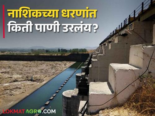 latest news Seven dams in Nashik district have gone dry, see dam storage | Nashik Dam Storage : नाशिक जिल्ह्यातील सात धरणे झाली कोरडी, नेमकं किती पाणी शिल्लक? 