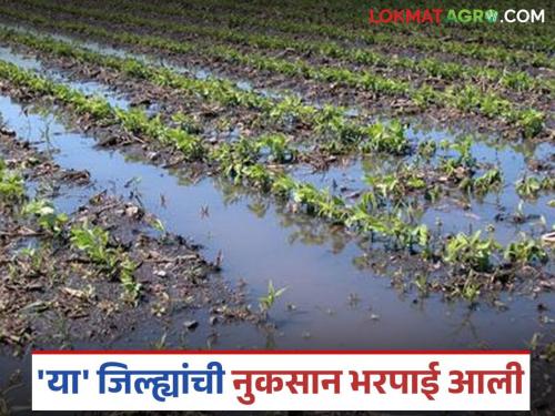 Latest news Nuksan Bharpai Help arrived for these districts were crops damaged by heavy rains in June and August | जून आणि ऑगस्ट महिन्यातील अतिवृष्टीमुळे नुकसान झालेल्या 'या' जिल्ह्यांची मदत आली