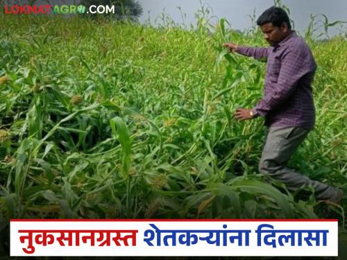 Latest News Nuksan Bharpai Compensation for losses received between February and May 2025 | Nuksan Bharpai : फेब्रुवारी ते मे 2025 मध्ये नुकसानीची भरपाई आली, थेट डीबीटीद्वारे जमा होणार 