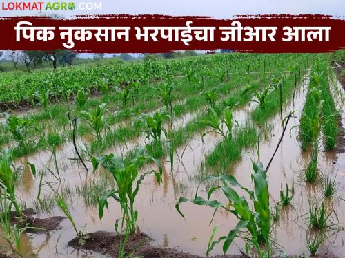 Rs 368 crore aid received for farmers affected by natural disasters? How much fund for which district? | नैसर्गिक आपत्तीग्रस्त शेतकऱ्यांना ३६८ कोटी रुपयांची मदत आली? कोणत्या जिल्ह्याला किती निधी?
