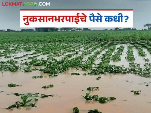 Even the April crop damage package hasn't arrived; will we definitely get the May aid? | एप्रिलच्या मदतीचा छदाम सुद्धा आला नाही; 'मे'ची मदत नक्की मिळणार का?