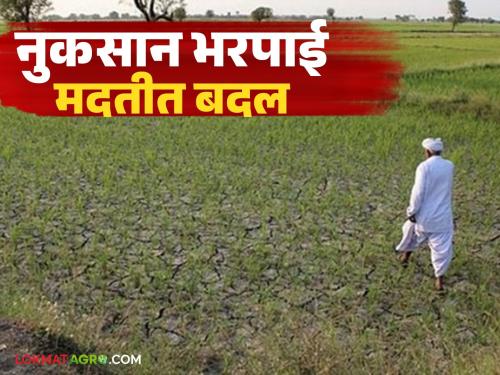 Latest News Nuksan Bharpai Change in crop damage compensation amount from Kharif 2025, read in detail | Nuksan Bharpai : खरीप 2025 पासून पीक नुकसान भरपाईच्या मदत रकमेत बदल, वाचा सविस्तर 