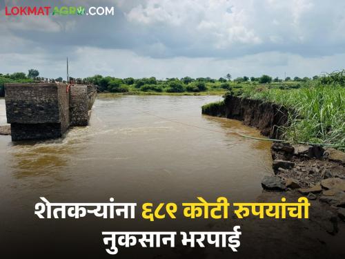 Latest News nuksan Bharpai Farmers in 'these' districts will get Rs 689 crore in compensation for losses | Nuksan Bharpai : तुमच्या जिल्ह्यातील शेतकऱ्यांना नुकसान भरपाईचे किती पैसे मिळणार, वाचा सविस्तर