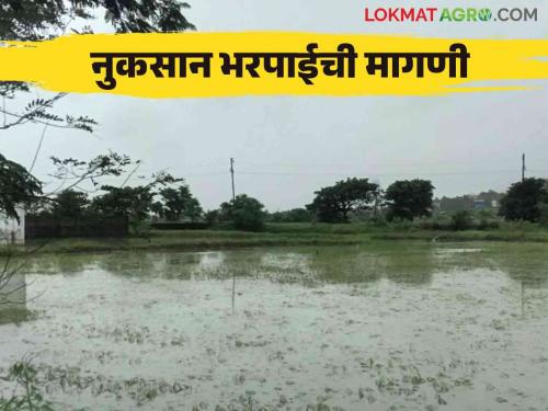 Ativruti Nuksan Bharpai : crop damage due to rain | Ativruti Nuksan Bharpai : दीड महिन्यात शेतीमालाचे नुकसान; २५२ कोटी रुपयांची शासनाकडे मागणी