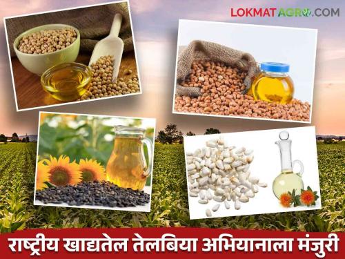 Central Government's major drive to make India self-sufficient in oilseeds production within seven years | तेलबियांच्या उत्पादनात सात वर्षांत भारताला स्वयंपूर्ण बनवण्यासाठी केंद्र शासनाचे मोठे अभियान