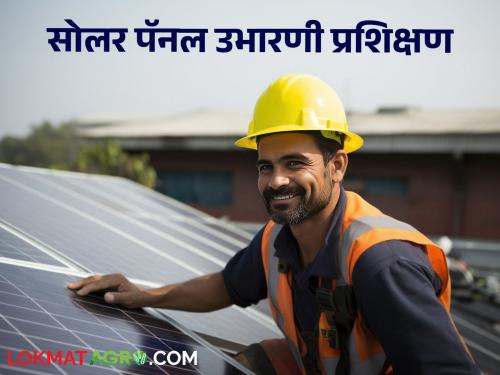 Latest News Solar Panel Training Solar panel installation, maintenance and repair training see details | Solar Panel Training : 'या' जिल्ह्यात सोलर पॅनल उभारणी, देखभाल व दुरुस्ती प्रशिक्षण, इथे साधा संपर्क 