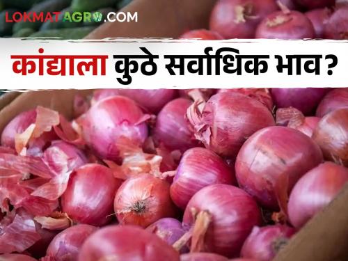 Latest News 10 may 2024 todays summer onion market price in maharashtra market yards | Onion Market : उन्हाळ कांद्याचे दर वधारले की घसरले? वाचा आजचे सविस्तर बाजारभाव