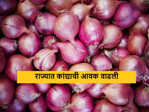Latest News 15 april 2024 Todays Onion Market In maharashtra market Yards | Onion Market : लाल-उन्हाळ कांद्याची आवक वाढली, आज कुठे-काय भाव मिळाला? 