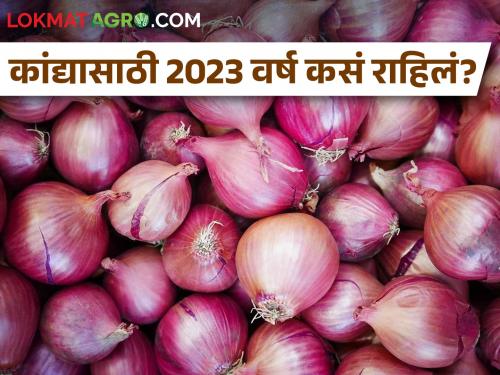 #Flashback 2023 : How will 2023 be for onions? | #Flashback 2023 : कांद्यासाठी 2023 वर्ष कसं राहिलं? 