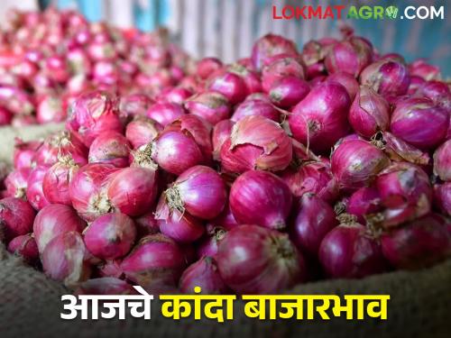 latest News 23 Feb 2024 Todays Onion Market In Nashik maharashtra | पुणे-मुंबईत घसरण, लासलगावला कांद्याला काय भाव मिळाला? वाचा आजचे बाजारभाव 