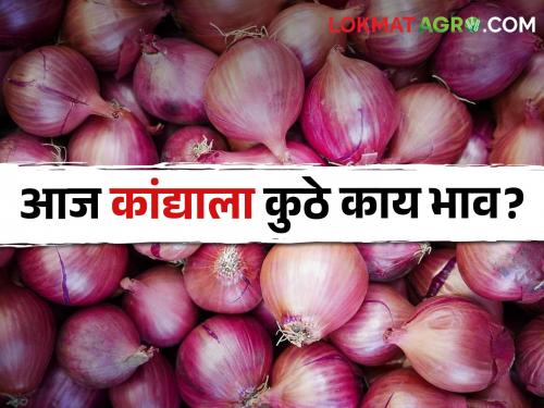 Latest News 27 april 2024 todays Onion Market in maharashtra market yards check here | Onion Market : आज लाल-उन्हाळ कांद्याला कुठे काय भाव मिळाला? वाचा सविस्तर बाजारभाव 