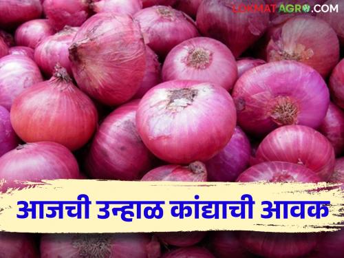 Onion Market: What was the price in Solapur market? Read today's onion market price | Onion Market : सोलापूर बाजारात काय भाव मिळाला? वाचा आजचे कांदा बाजारभाव 