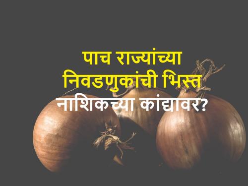 central government committee reviews onion market in Lasalgaon and Pimpalgaon ahead of Loksabha electionstions ahead | केंद्राने घेतला कांद्याचा धसका? ऐन निवडणुकीच्या तोंडावर केंद्रीय समिती नाशकात