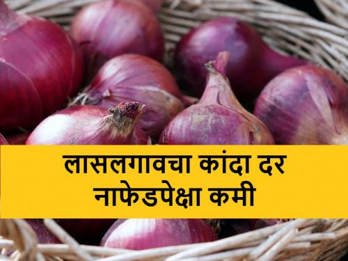 Onion Market Price: Lasalgaon onion market price decreased as compared to Nafed | Onion Market Price: राष्ट्रीय कांदा दिवसालाच लासलगावी भाव उतरणीला; नाफेडपेक्षाही कमी