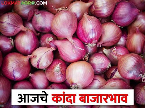 Latest news 10 march Todays Onion Market Price In maharashtra bajar samiti | Onion Market : अकलूज बाजार समितीत लाल कांद्याला सर्वाधिक भाव, आजचे सविस्तर दर 