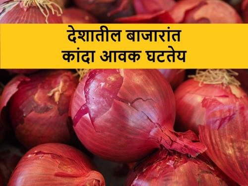 Onion arrivals in the country's market decreased by 22 percent, know today's onion market prices in Lasalgaon | बाजारातील कांदा आवक २२ टक्क्यांनी घटली, आज असे आहेत कांद्याचे बाजारभाव