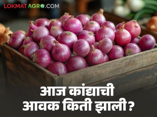 Latest News Kanda Market Highest arrival of summer onion in Kalwan market see onion Market Price | Kanda Market : कळवण बाजारात उन्हाळ कांद्याची सर्वाधिक आवक, आज कांद्याला काय भाव मिळाला? 