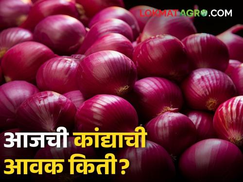 Latest News Highest price for summer onion in Pen Bazar Committee, read today's market price | Onion Market : पेन बाजार समितीत उन्हाळ कांद्याला सर्वाधिक दर, वाचा आजचे बाजारभाव 