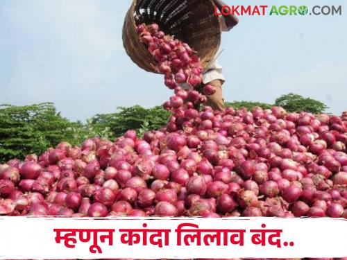 Latest News 136 crore levy recovery notice to onion traders onion auction closed | कांदा व्यापाऱ्यांना 136 कोटी लेव्ही वसुलीची नोटीस, म्हणून लिलाव बंद, असं कोण म्हणाले? 