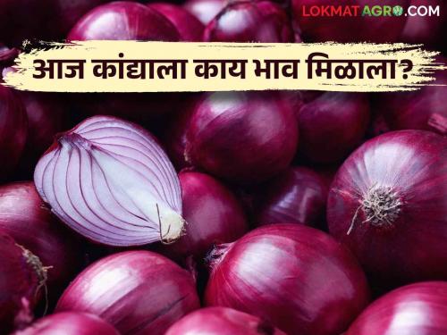 Latest News onion market price on Deep Amavasya, read today's detailed market price | Onion Market : दीप अमावस्येला कांद्याला काय भाव, वाचा आजचे सविस्तर बाजारभाव