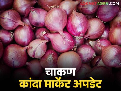 Kanda Bajar Bhav : Onion arrivals in Chakan market decreased; How much difference in price? | Kanda Bajar Bhav : चाकण मार्केटमध्ये कांद्याची आवक घटली; दरात पडला किती फरक?