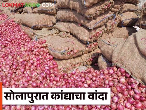 Solpur Kanda Market : Inward of onion increased in Solapur market farmers sold onion on the road | Solpur Kanda Market : सोलापूर मार्केटमध्ये कांद्याची आवक वाढल्याने शेतकऱ्यांनी रोडवर विकला कांदा