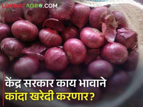 The central government will soon buy 2 lakh tonnes of onion | केंद्र सरकार लवकरच २ लाख टन कांदा खरेदी करणार