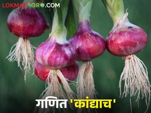 The calculation of production cost and the market price of onion does not match | उत्पादनखर्च आणि कांद्याला मिळणारा बाजारभाव याचं गणित काही जुळेना