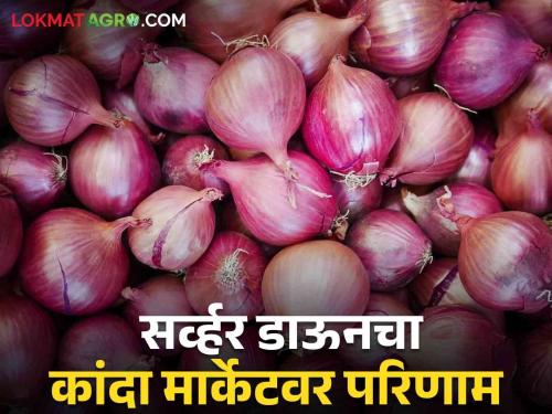 latest News Container stuck on JNPT Microsoft Outage server down effect on onion market price | Microsoft Outage : जेएनपीटीवर कंटेनर अडकले, सर्व्हर डाऊनचा कांदा बाजारभावावर परिणाम? 